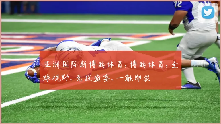亚洲国际新博狗体育,博狗体育,全球视野,竞技盛宴,一触即发