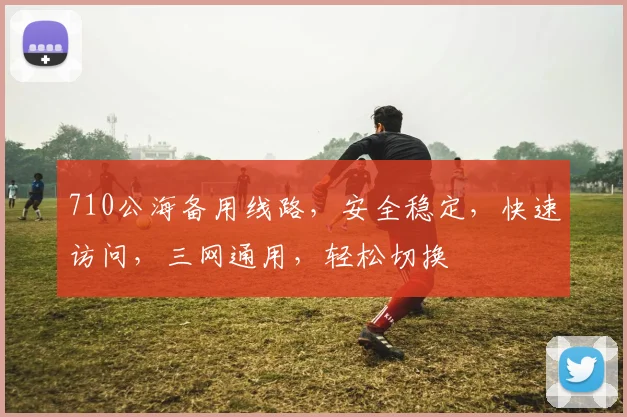 710公海备用线路，安全稳定，快速访问，三网通用，轻松切换